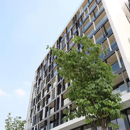 Royal - Sakura Park *